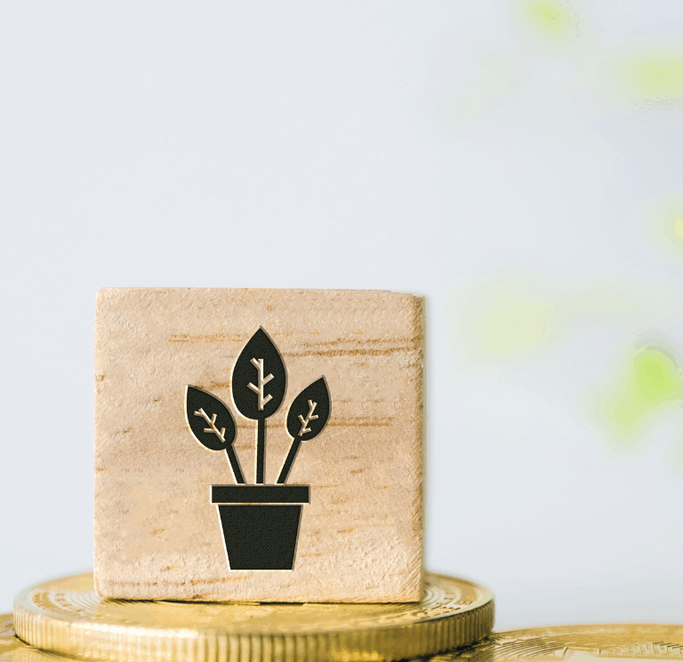 La transizione ecologica nelle imprese per la tutela della biodiversità del territorio vicentino